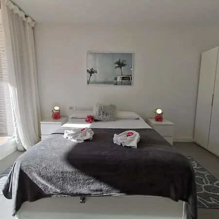 Apartamento Amplio Con Wi-fi, Aire Acondicionado Y Terraza A 15 Min De La Playa En - Es-209-14 Apartment